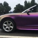 Ravoony Plus Diamond Purple Car Wrap
