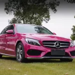 Ravoony Plus Star Ruby Car Vinyl Wrap