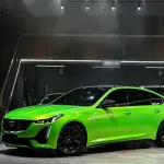 Ravoony Plus Kelly Green Vinyl Wrap