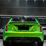 Ravoony Plus Kelly Green Vinyl Wrap