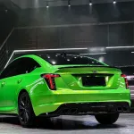 Ravoony Plus Kelly Green Vinyl Wrap