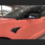 Ravoony Plus Glossy Paggy Pink Car Vinyl Wrap
