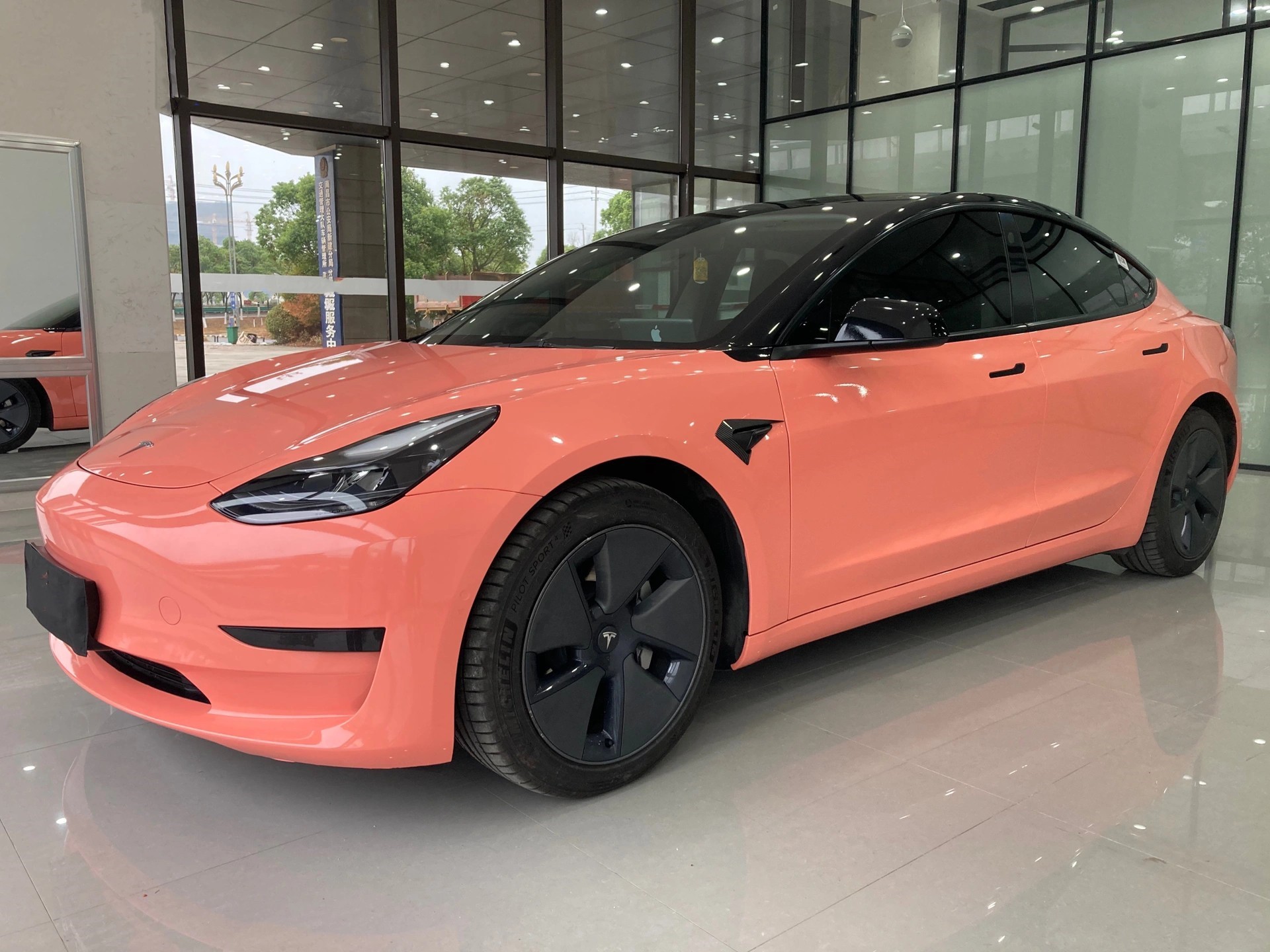 Ravoony Plus Glossy Paggy Pink Car Vinyl Wrap