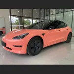 Ravoony Plus Glossy Paggy Pink Car Vinyl Wrap