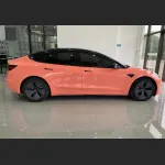 Ravoony Plus Glossy Paggy Pink Car Vinyl Wrap