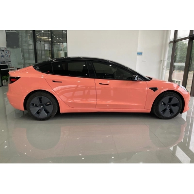 Ravoony Plus Glossy Paggy Pink Car Vinyl Wrap 02