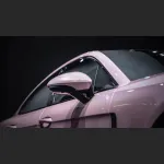 Ravoony Plus Gloss Laser Light Pink Car Wrap