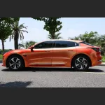 Ravoony Plus Matte Diamond Gold Orange Car Wrap