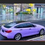 Ravoony Plus Matte Lavender Car Wrap