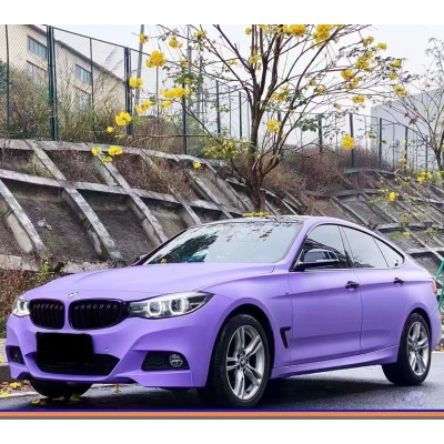 Ravoony Plus Matte Lavender Car Wrap 02