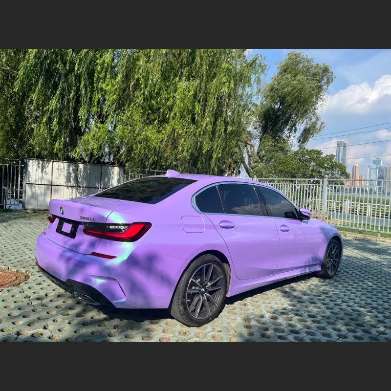 Ravoony Twin Candy Purple Green Car Wrap