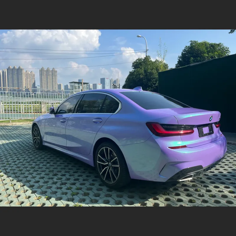 Ravoony Twin Candy Purple Green Car Wrap