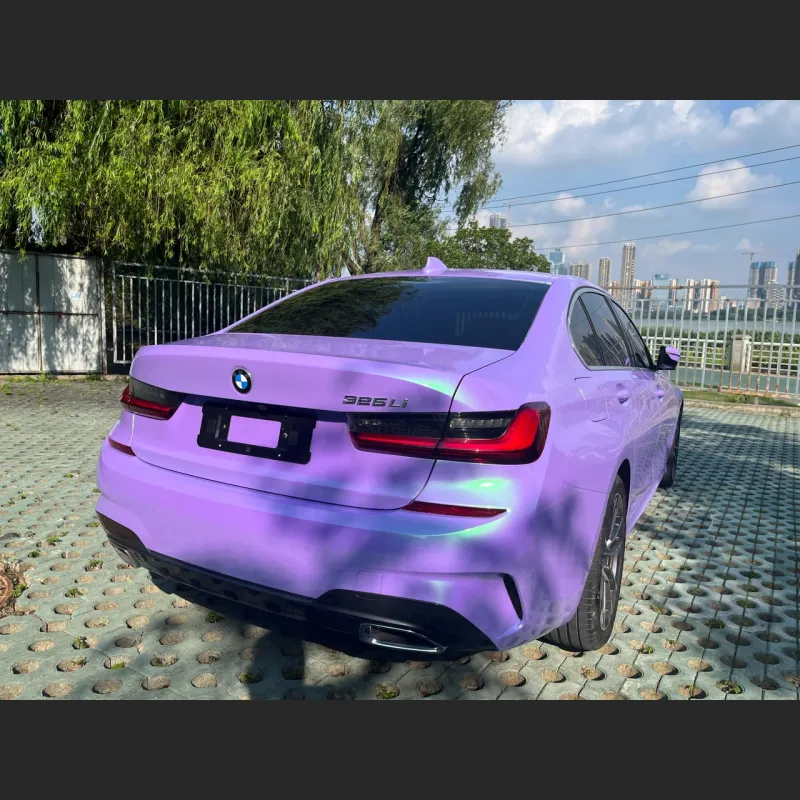 Ravoony Twin Candy Purple Green Car Wrap