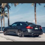 Ravoony Plus Matte Black Car Vinyl Wrap BMW F82 M4 Wrap