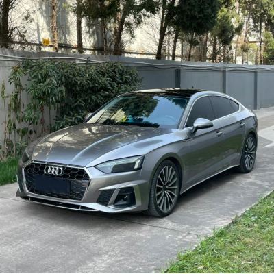 Ravoony Plus Metal Liquid Silver Car Vinyl Wrap Audi A5 Wrap 02