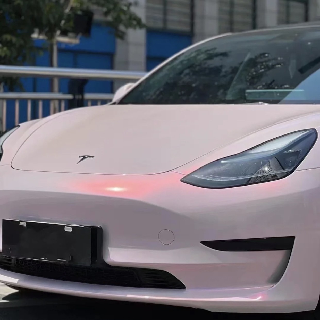 Ravoony Plus PET Flower Pink Car Wrap Tesla Model 3 Wrap