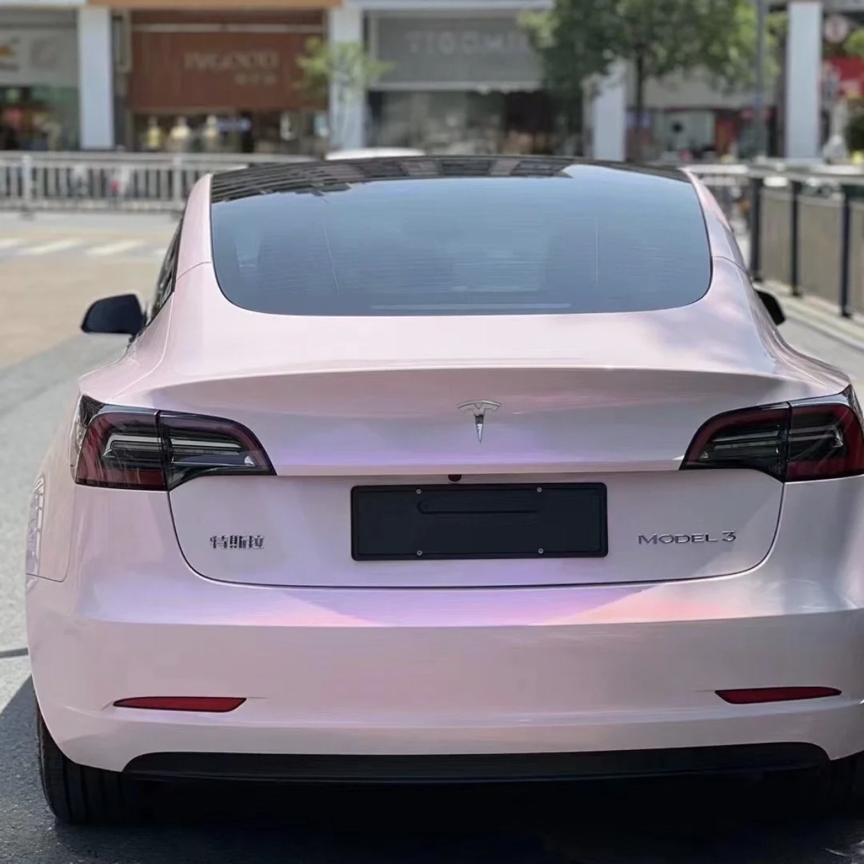 Ravoony Plus PET Flower Pink Car Wrap Tesla Model 3 Wrap