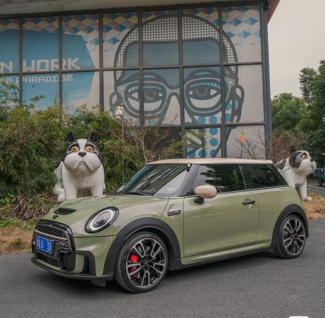 Ravoony Plus PET Gloss Khaki Green Car Vinyl Wrap Mini Cooper Wrap