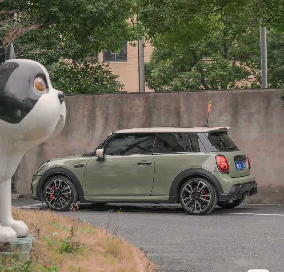 Ravoony Plus PET Gloss Khaki Green Car Vinyl Wrap Mini Cooper Wrap