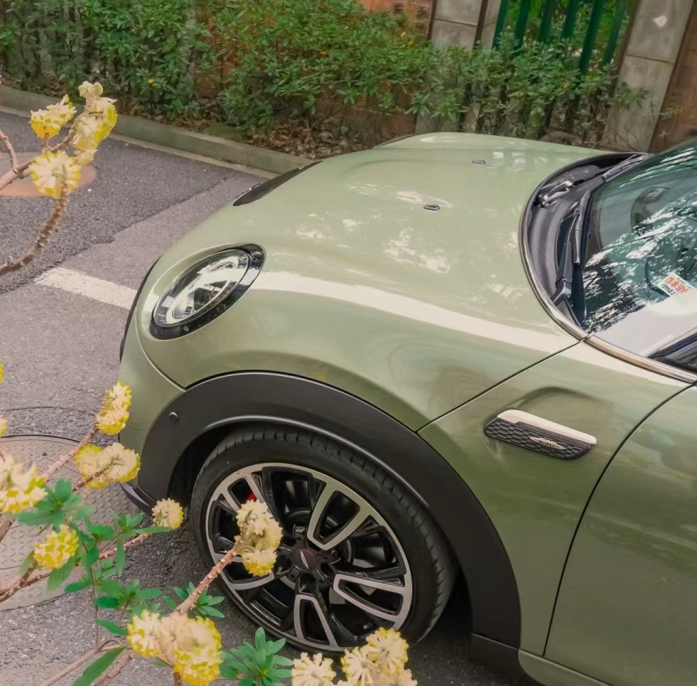 Ravoony Plus PET Gloss Khaki Green Car Vinyl Wrap Mini Cooper Wrap