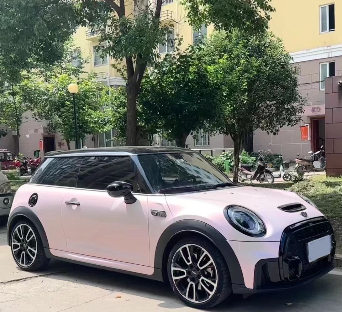 Ravoony Plus PET Flower Pink Car Wrap Mini Cooper Wrap