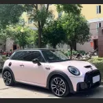 Ravoony Plus PET Flower Pink Car Wrap Mini Cooper Wrap