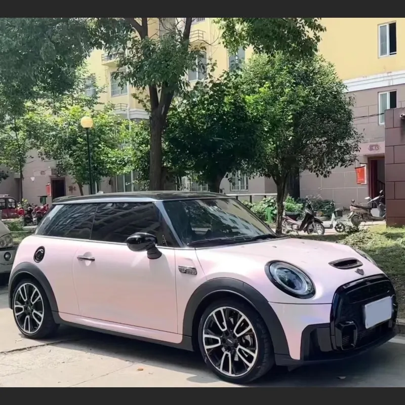 Ravoony Plus PET Flower Pink Car Wrap Mini Cooper Wrap