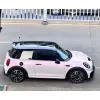 Ravoony Plus PET Flower Pink Car Wrap Mini Cooper Wrap