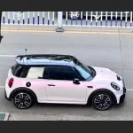Ravoony Plus PET Flower Pink Car Wrap Mini Cooper Wrap