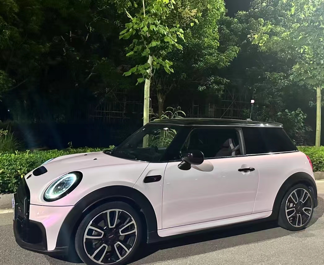 Ravoony Plus PET Flower Pink Car Wrap Mini Cooper Wrap