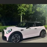 Ravoony Plus PET Flower Pink Car Wrap Mini Cooper Wrap