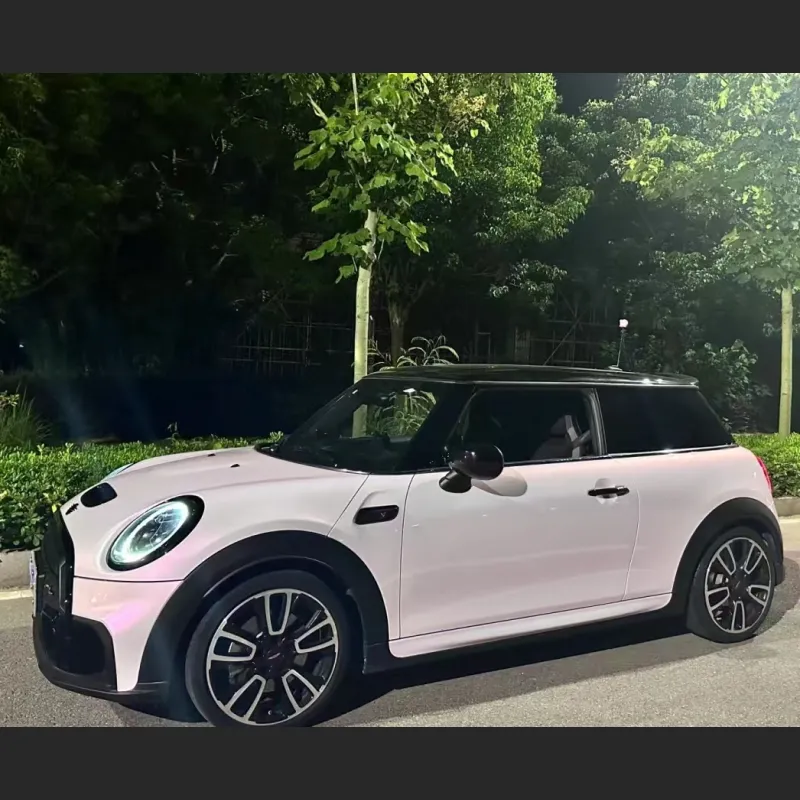 Ravoony Plus PET Flower Pink Car Wrap Mini Cooper Wrap