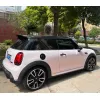 Ravoony Plus PET Flower Pink Car Wrap Mini Cooper Wrap