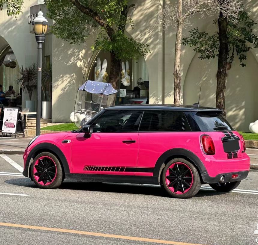 Ravoony Plus PET Gloss Beets Purple Vinyl Car Wrap Mini Cooper Wrap