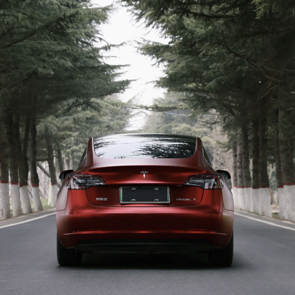 Ravoony Plus PET Matte Chrome Romanee Red Vinyl Car Wrap Tesla Model 3 Wrap