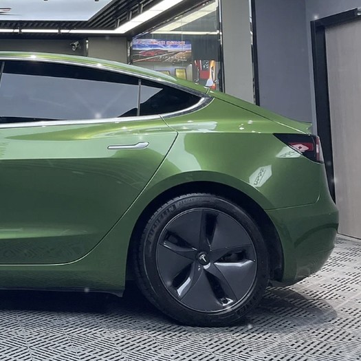 Ravoony Plus Metallic Mamba Green Car Vinyl Wrap Tesla Model 3 Wrap