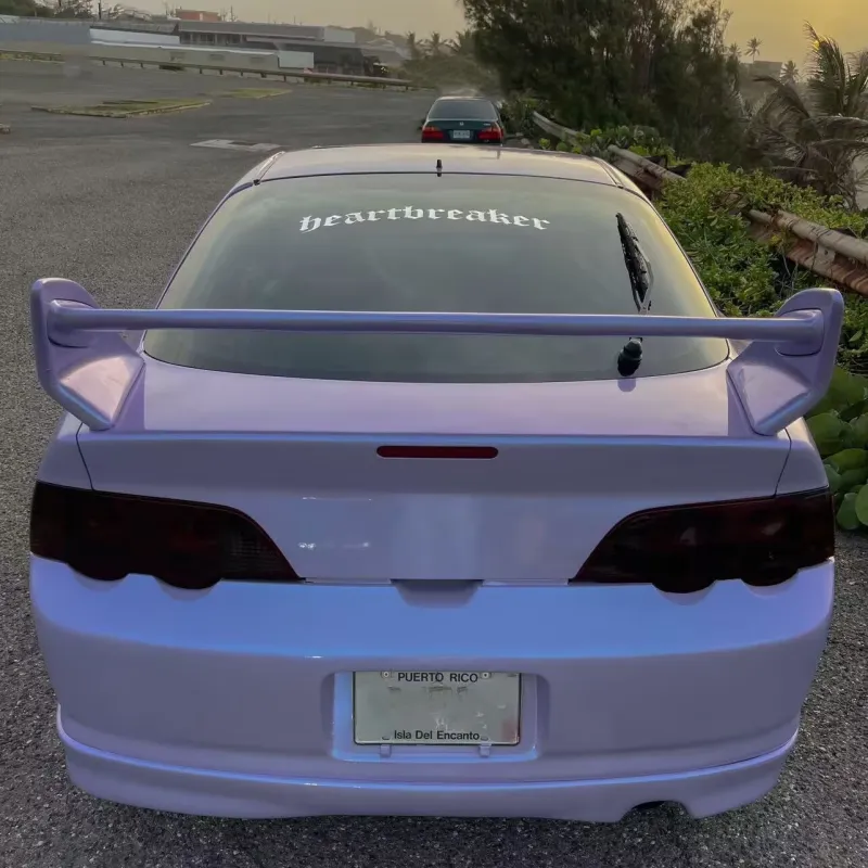 Ravoony Twin Silver Purple Car Vinyl Wrap