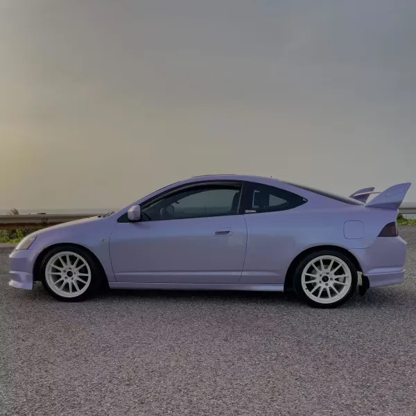 Ravoony Twin Silver Purple Car Vinyl Wrap