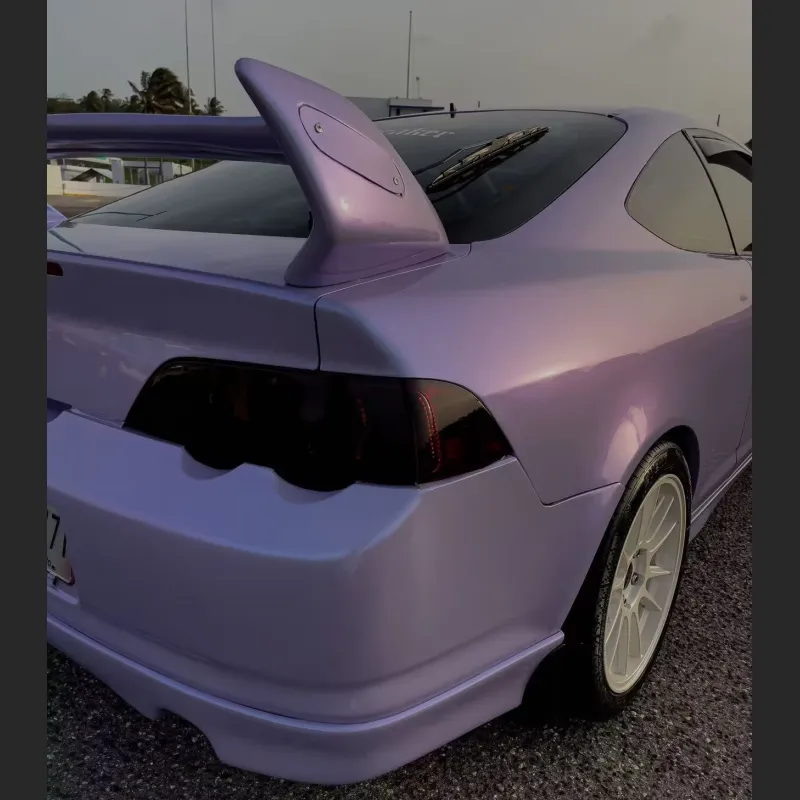 Ravoony Twin Silver Purple Car Vinyl Wrap