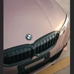 Ravoony Plus Glossy Frozen Berry Wrap BMW 3 Series Wrap 
