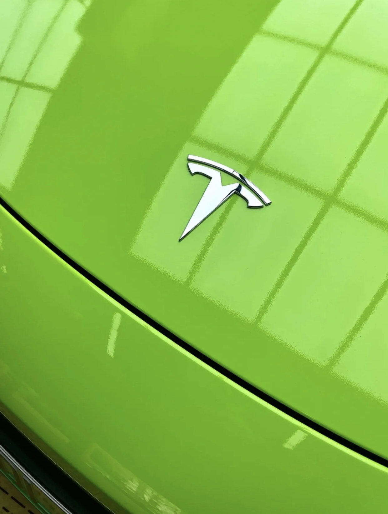 Ravoony Plus Gloss Apple Green Car Wrap Tesla Model 3 Wrap