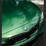 Ravoony Plus Metal Sonoma Green Car Vinyl Wrap BMW M2 Wrap