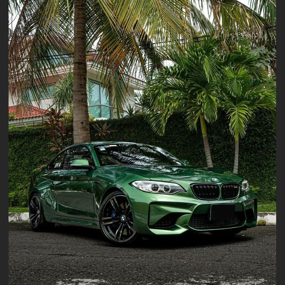 Ravoony Plus Metal Sonoma Green Car Vinyl Wrap BMW M2 Wrap