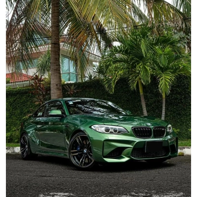 Ravoony Plus Metal Sonoma Green Car Vinyl Wrap BMW M2 Wrap 02