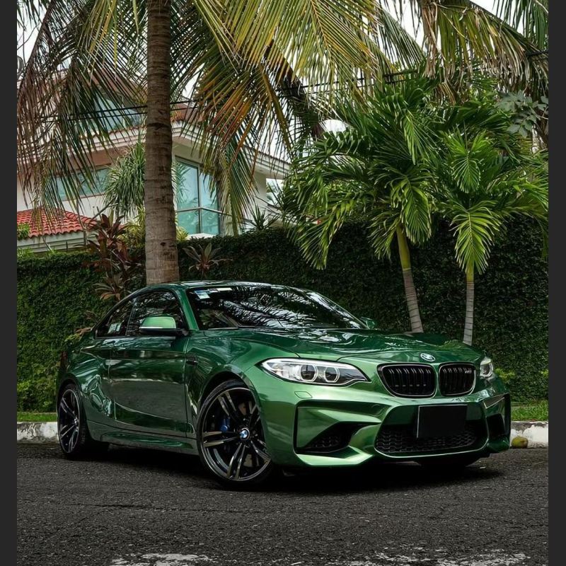 Ravoony Plus Metal Sonoma Green Car Vinyl Wrap BMW M2 Wrap