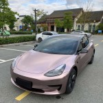 Ravoony Plus Glossy Frozen Berry Wrap Tesla Model 3 Wrap 