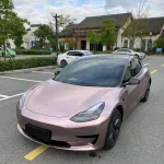 Ravoony Plus Glossy Frozen Berry Wrap Tesla Model 3 Wrap 