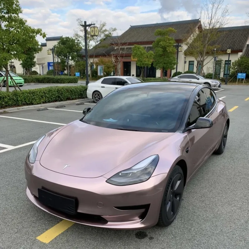 Ravoony Plus Glossy Frozen Berry Wrap Tesla Model 3 Wrap 