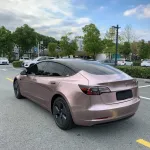 Ravoony Plus Glossy Frozen Berry Wrap Tesla Model 3 Wrap 