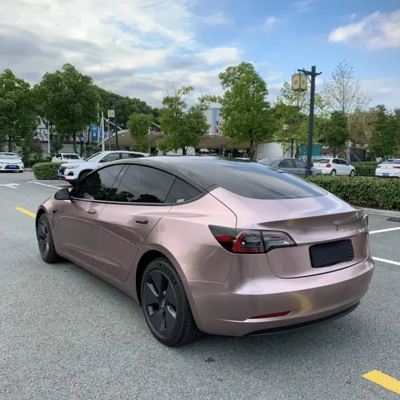 Ravoony Plus Glossy Frozen Berry Wrap Tesla Model 3 Wrap 